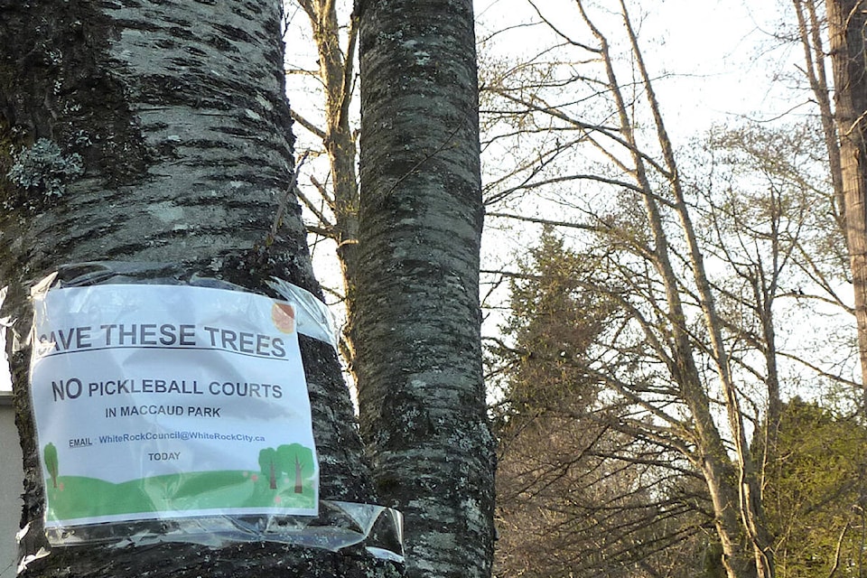 A sign posted to a tree in Maccaud Park urges people to email White Rock City Council and oppose the construction of pickleball courts in the park. (Contributed file photo)