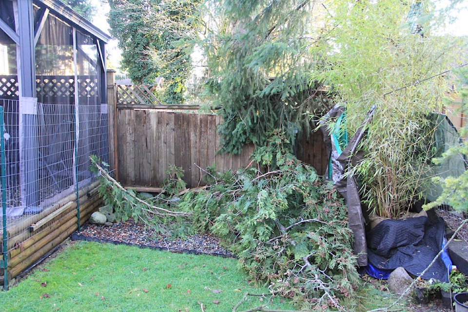 A tree branch that fell into Susan Horel’s yard and smashed her fence. (Photo: Malin Jordan)