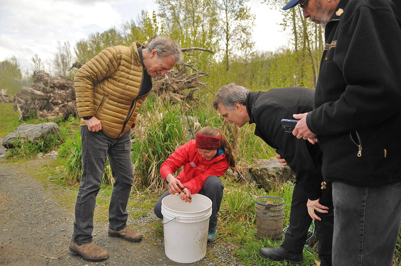 Minister of Environment and Climate Change Strategy, George Heyman (gold coat) and Fin Donnelly, parliamentary secretary for Fisheries and Aquaculture, look as Winter Moon holds a Salish sucker that was caught and then released at Hooge Wetlands in Chilliwack on Thursday, April 21, 2022. (Jenna Hauck/ Chilliwack Progress)