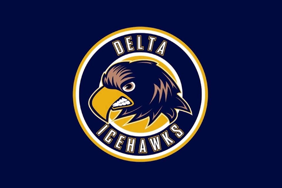 31961506_web1_230209-NDR-M-Delta-Ice-Hawks-Logo-WEB