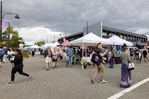 City awards culture and heritage grants to 3 Cloverdale groups