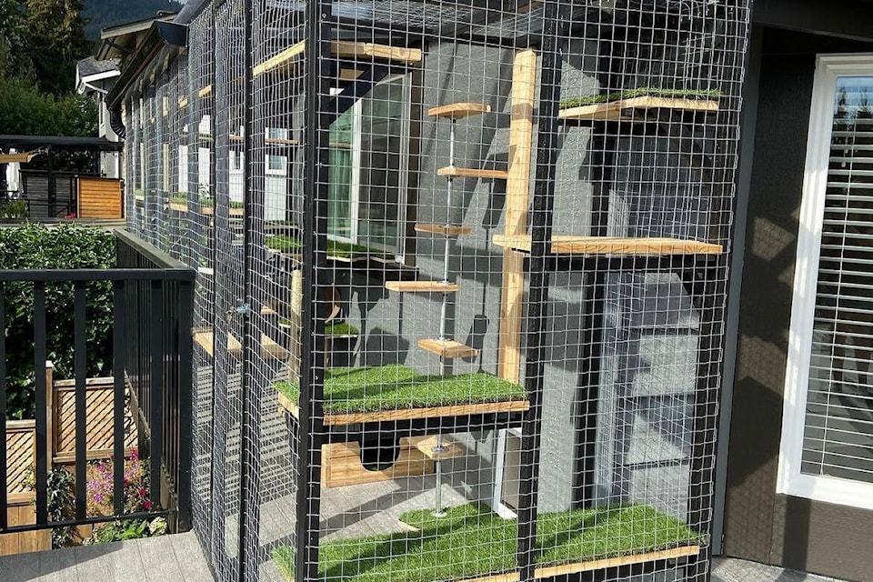 Catio prices hot sale