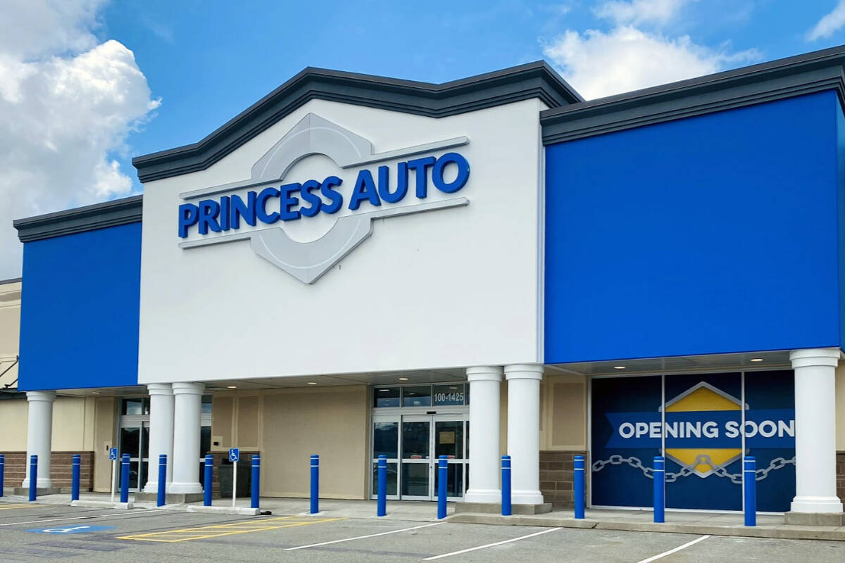 Princess auto vise deals