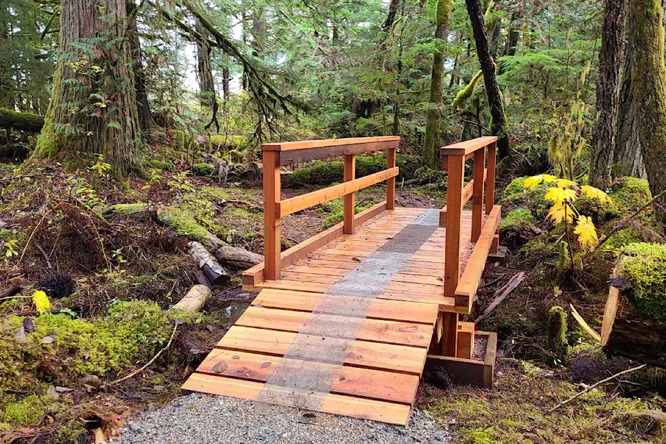 One of three new footbridges are part of a recent upgrade of the Schoolhouse Falls Trail in Bella Coola Valley. 