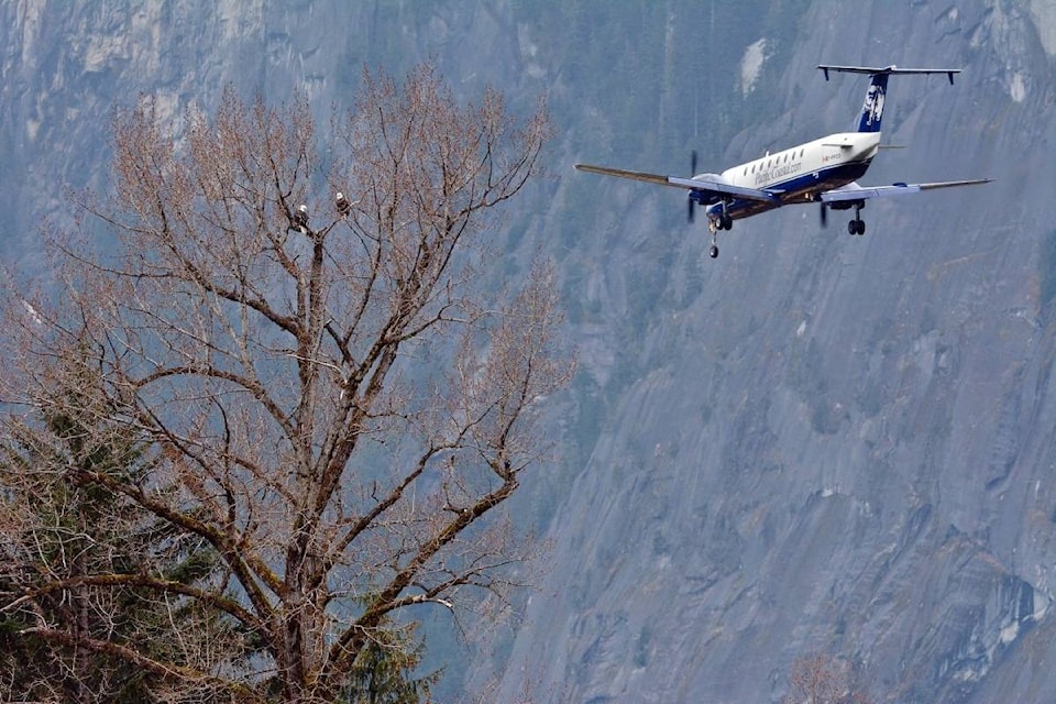 11676841_web1_180430-CMA-M-_MW10098-Eagle-pair-and-plane