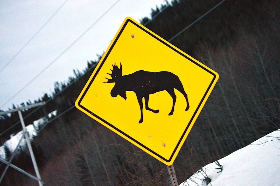 13482605_web1_180313-TST-M-moose-sign-1