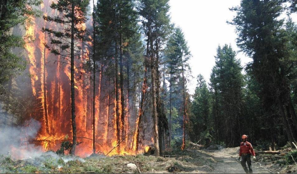 16103878_web1_Cariboo-Fires-2017_07-08-2017-BC-Wildfire-Service