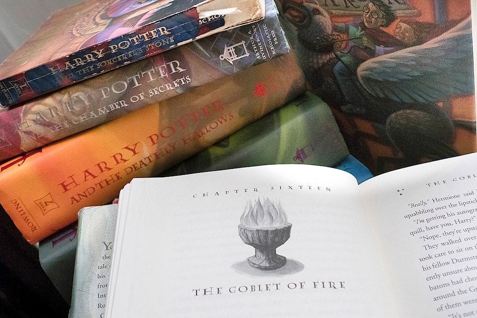 Federal government wants you to join ‘Dumbledore’s Army’ - Bella