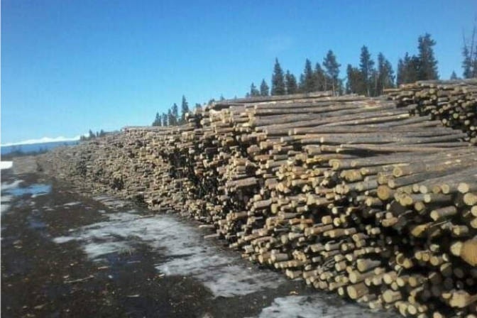 16586200_web1_West-Chilcotin-Forest-Products-copy
