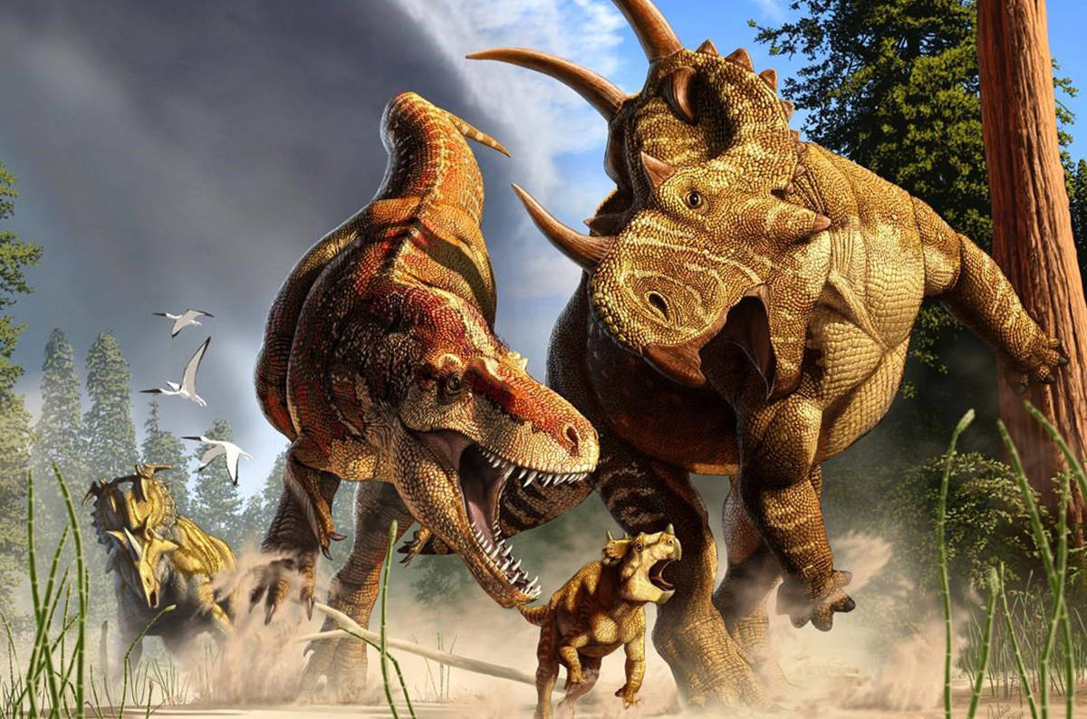 Not a sprint star: Research says T. rex was built for distance, not speed - Bella Coola News