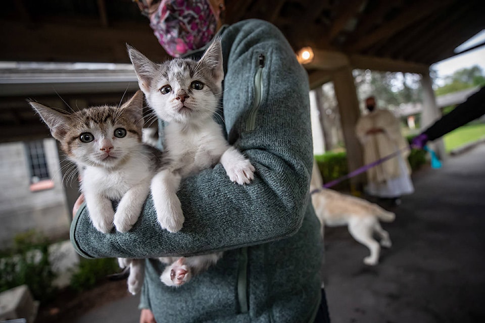 Karin Fulcher holds her kittens Pinot and Grigio during a small physically-distanced outdoor service and pet blessing ceremony to mark St. Francis Day, at St John’s Shaughnessy Anglican Church in Vancouver, on Sunday, October 4, 2020. THE CANADIAN PRESS/Darryl Dyck