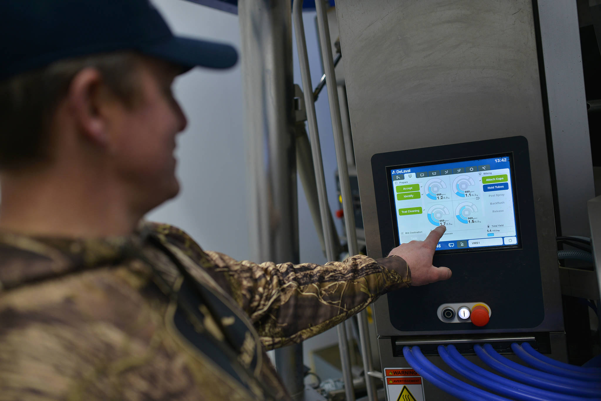 A DeLaval robotic milker shows farmers how much milk is being processed, by quarter (teat). (Phil McLachlan - Black Press Media)