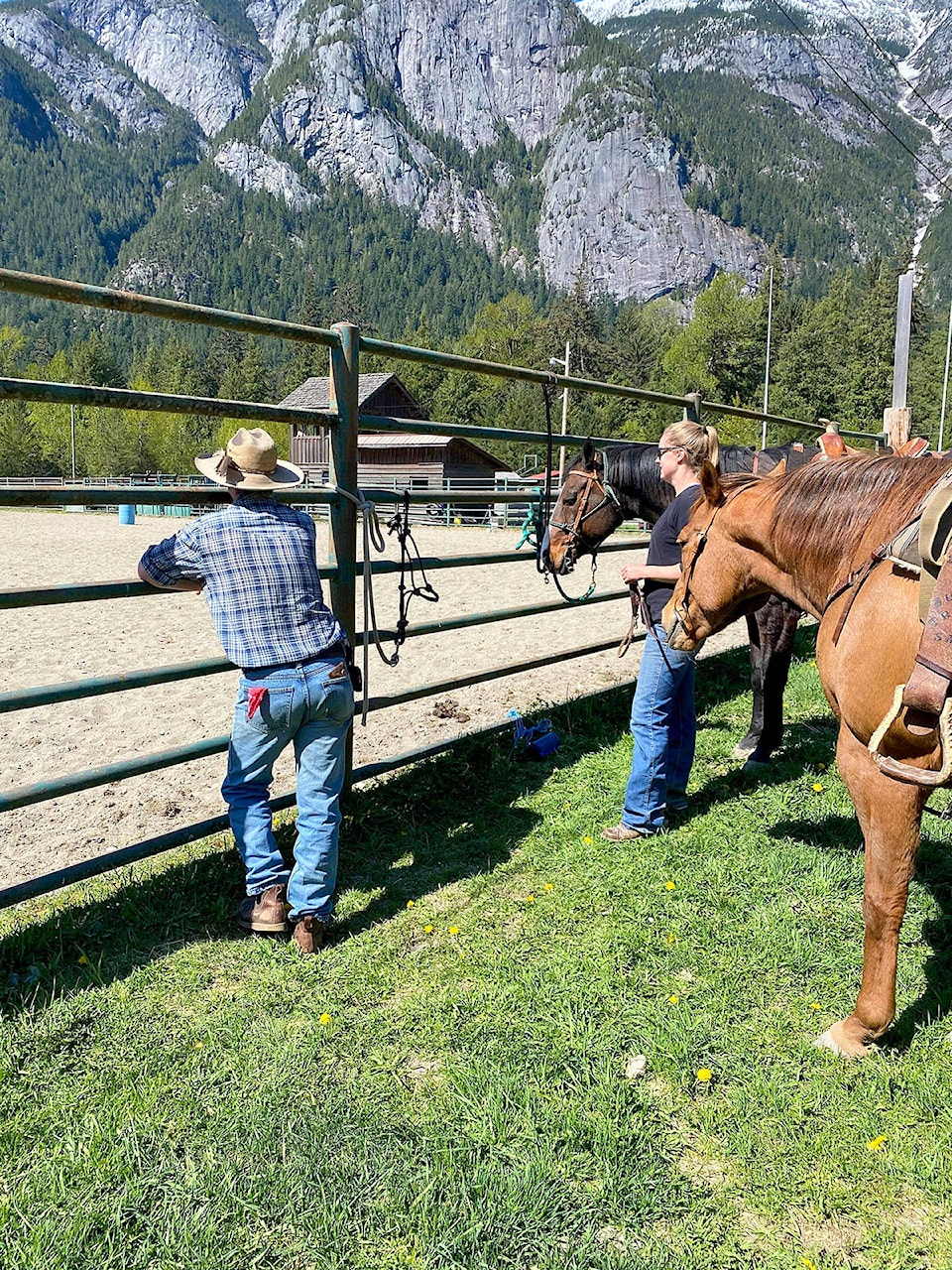 24966529_web1_210429-CMA-gymkhana-horse_1