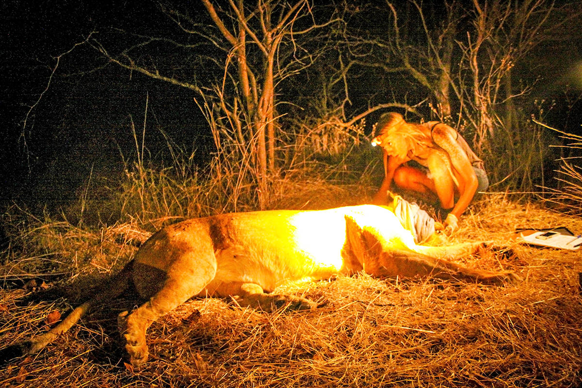 Bella Coolas new WildSafeBC co-ordinator, Rae Kokeš, has spent the last 10 years in Africa working in lion, human, conflict, and is a wildlife biologist by trade. (Photo submitted)