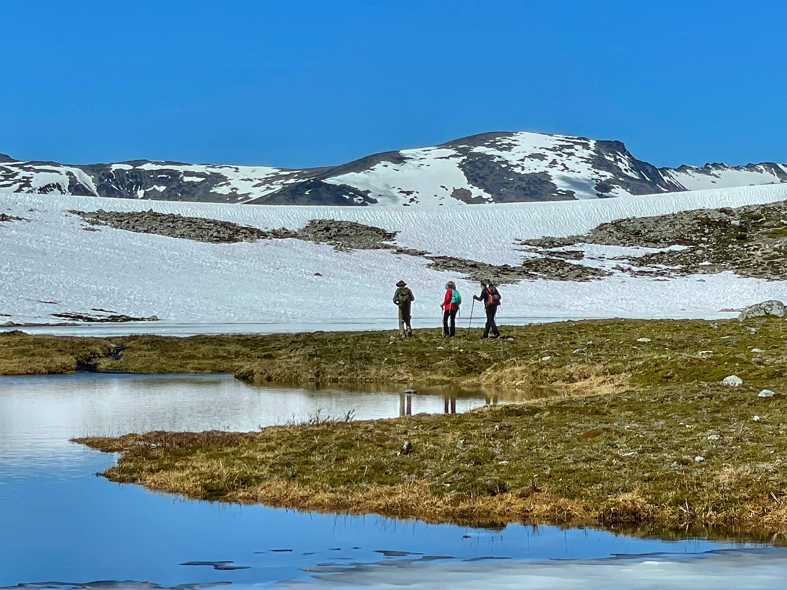 Nuk Tessli offers daily guided hikes to mesmerizing peaks, flower-filled bowls and epic mountain lakes. @PowderMatt (Matt Mosteller) photo
