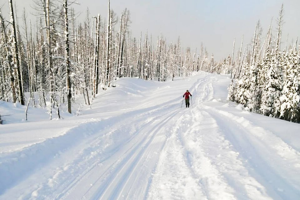 A cross-country skier enjoys one of the Tweedsmuir Ski Club’s trails at East Branch. (Photo submitted)
