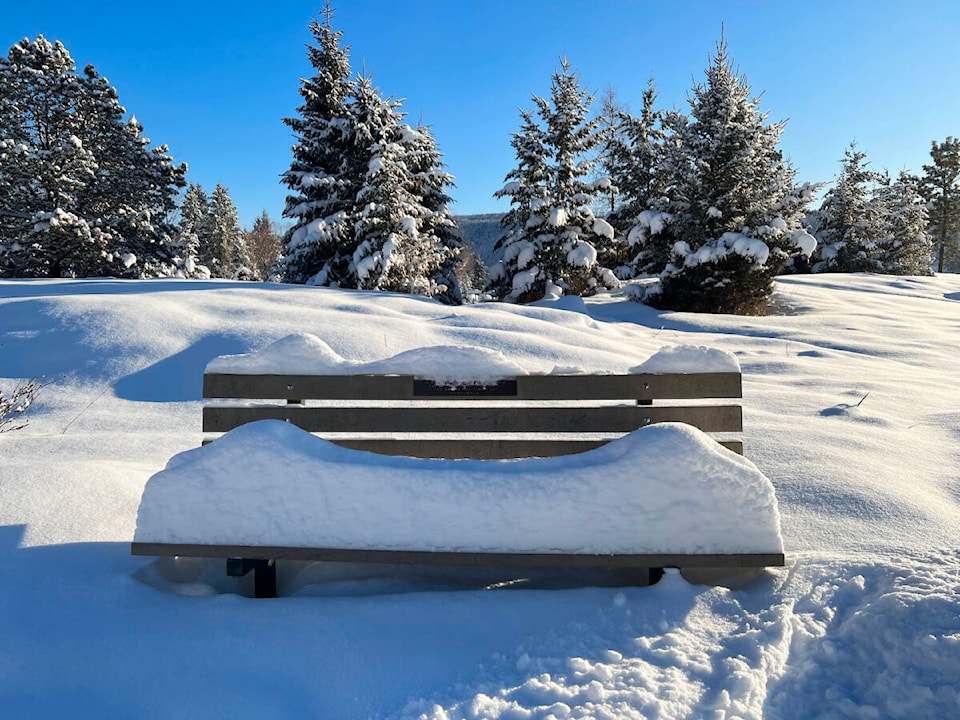 27710591_web1_220106-WLT-weather-bench-scoutisland_1