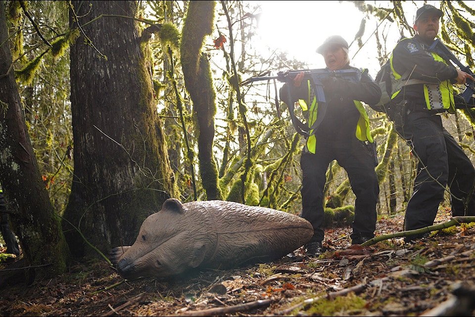 Decoys like this juvenile grizzly bear are used in the wildlife attack training scenarios for the conservation officers. (Jenna Hauck/ Chilliwack Progress)