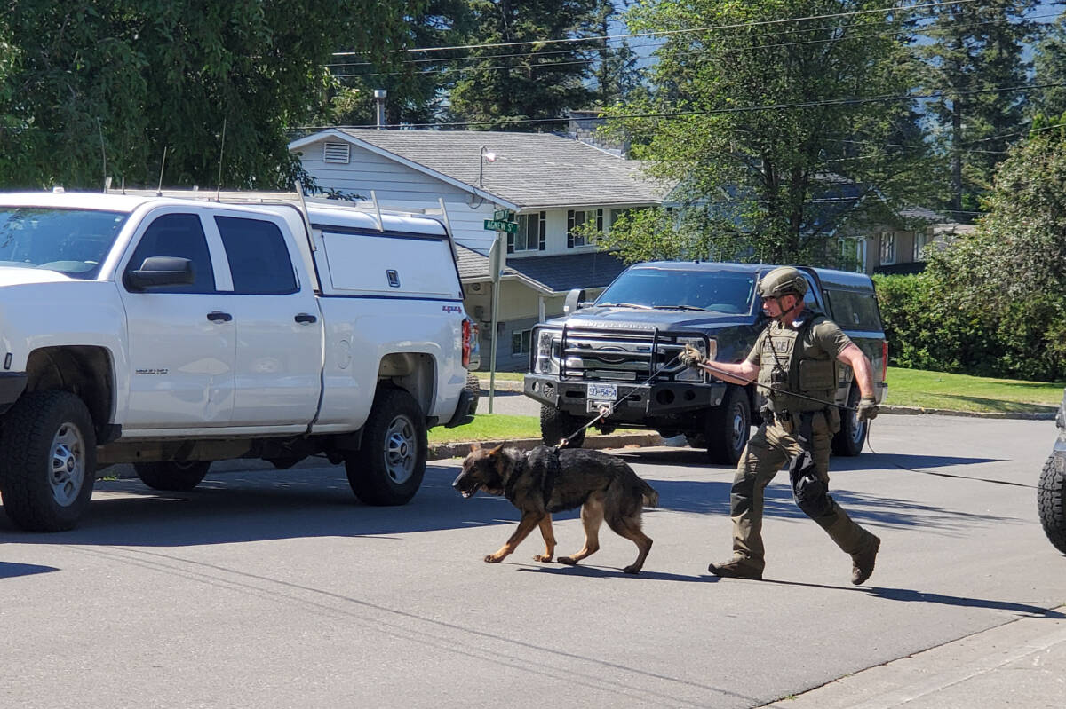 29913964_web1_220804-WLT-rcmp-arrest-pigeon-avenue_1