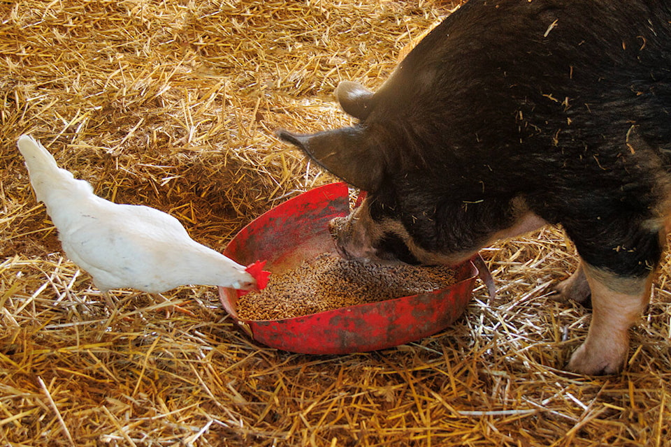 30359072_web1_Agriculture_0137