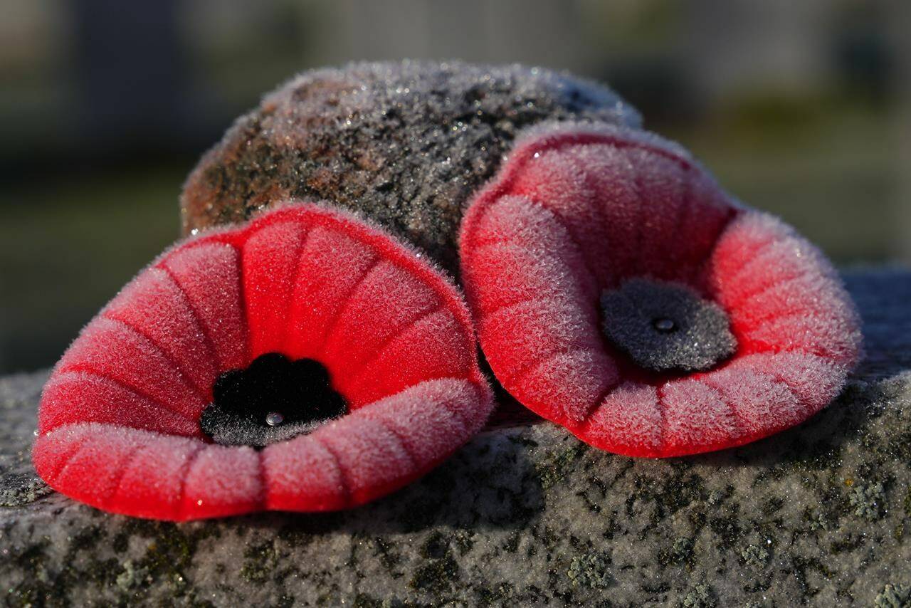 Royal Canadian Legion's 2021 National Poppy Campaign set to launch