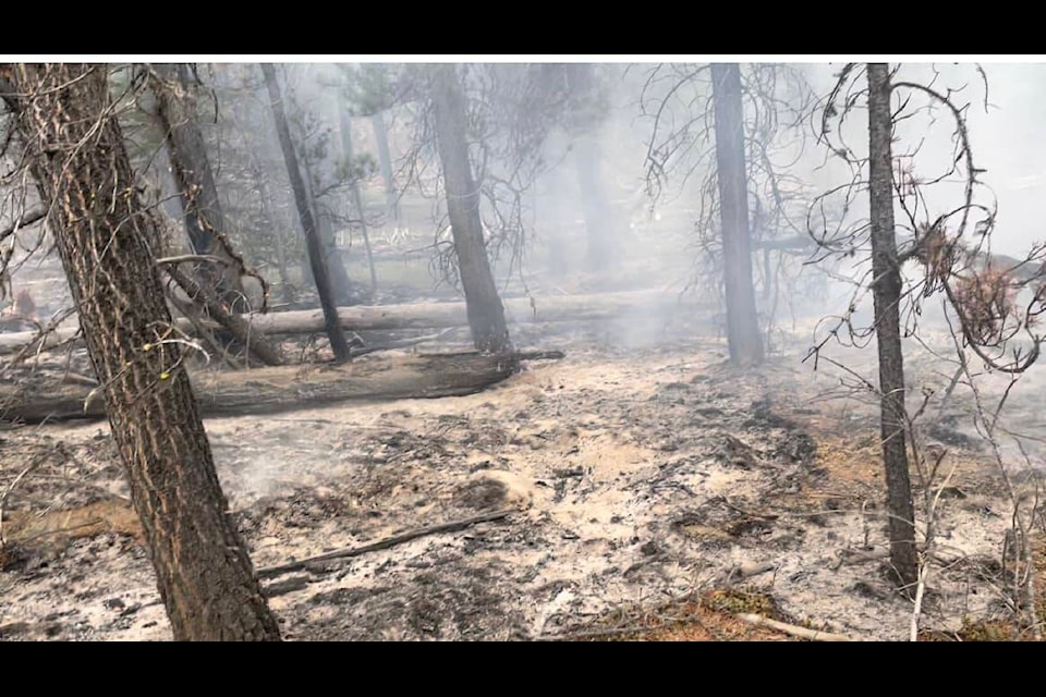 A downed tree on a power line ignited a fire north of Sapeye Lake in the West Chilcotin on Wednesday, Oct. 26. Embers from the fire spread further to the southeast side of the Water Lily Lake Recreation Trail as seen here Saturday, Oct. 29. (Patrice Gordon photo)