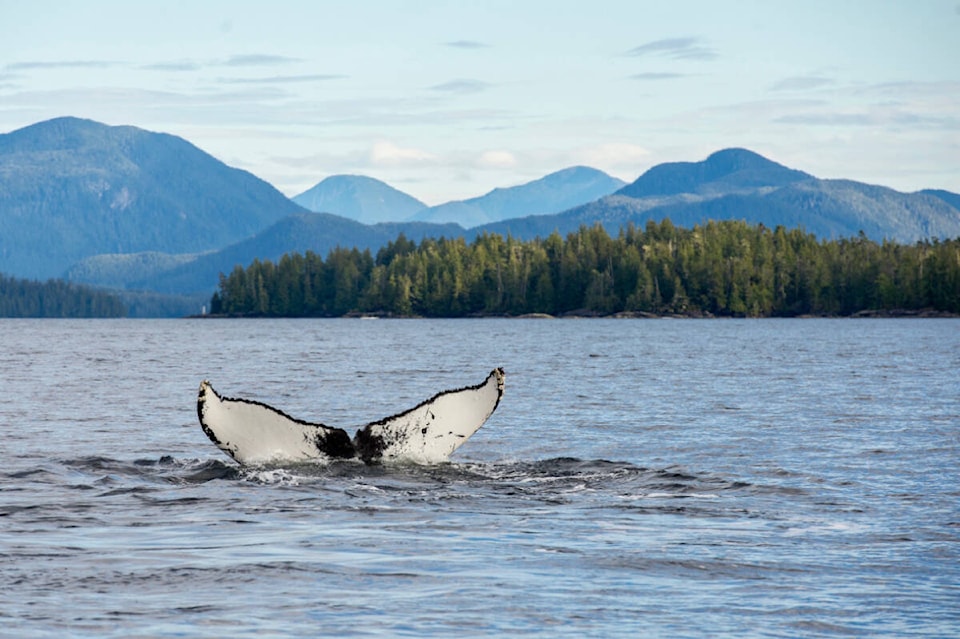 32661116_web1_230525-CMA-Heiltsuk-Emergency-Towing-Vessels_2