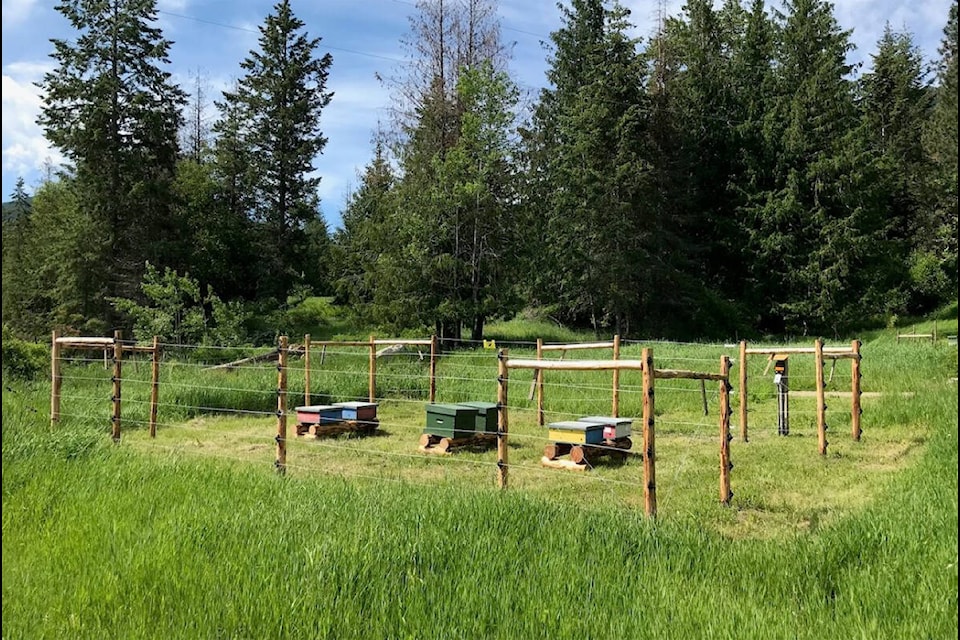 Bear fencing installed by Gillian Sanders at her home in the Kootenays. (Gillian Sanders photo)