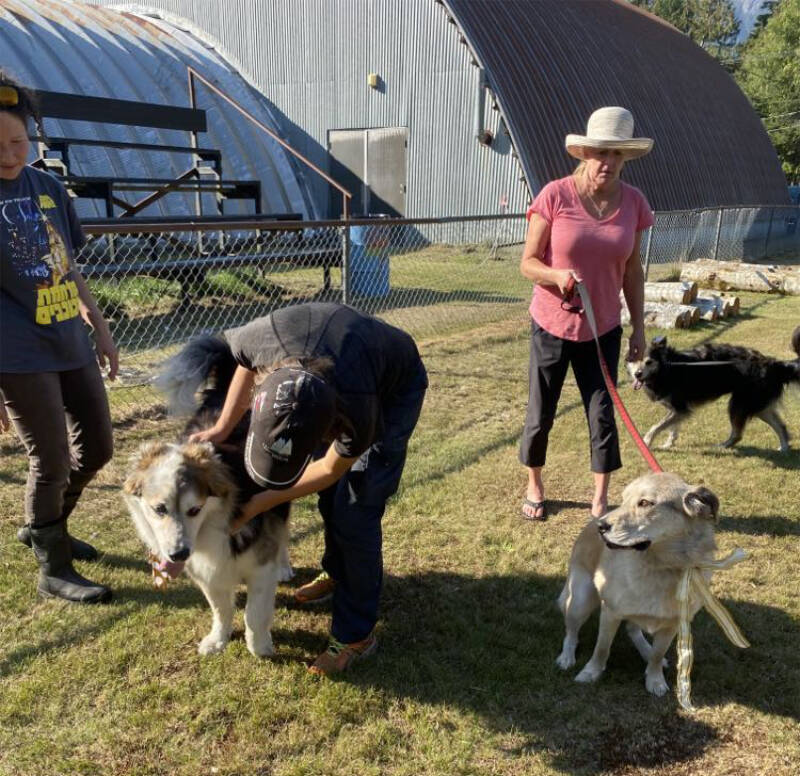 33972814_web1_230928-CMA-DogShow_3