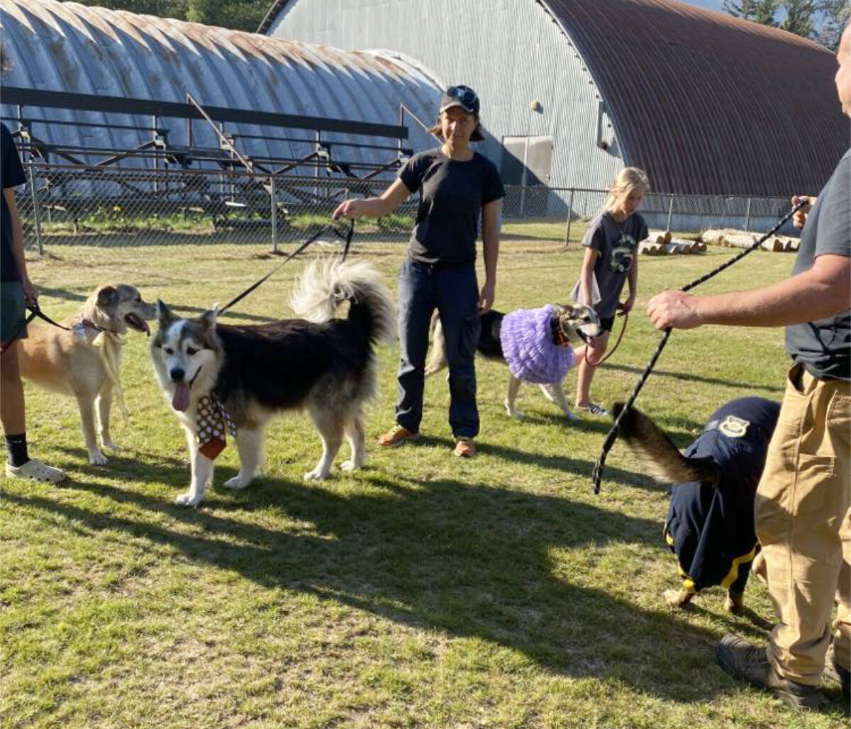33972814_web1_230928-CMA-DogShow_4