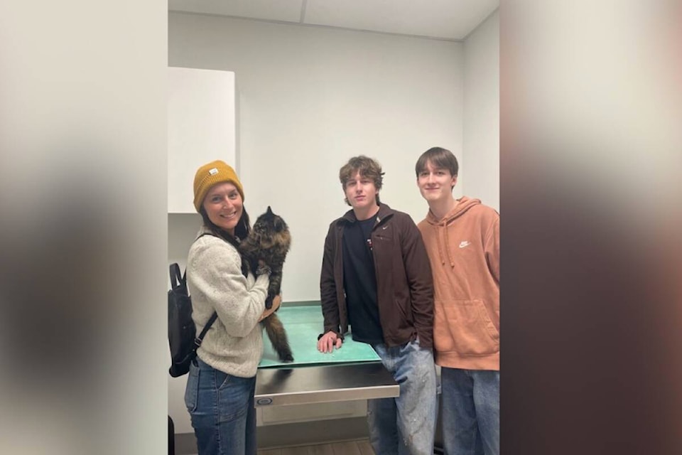 34198088_web1_231019-WIN-cat-reunited_2