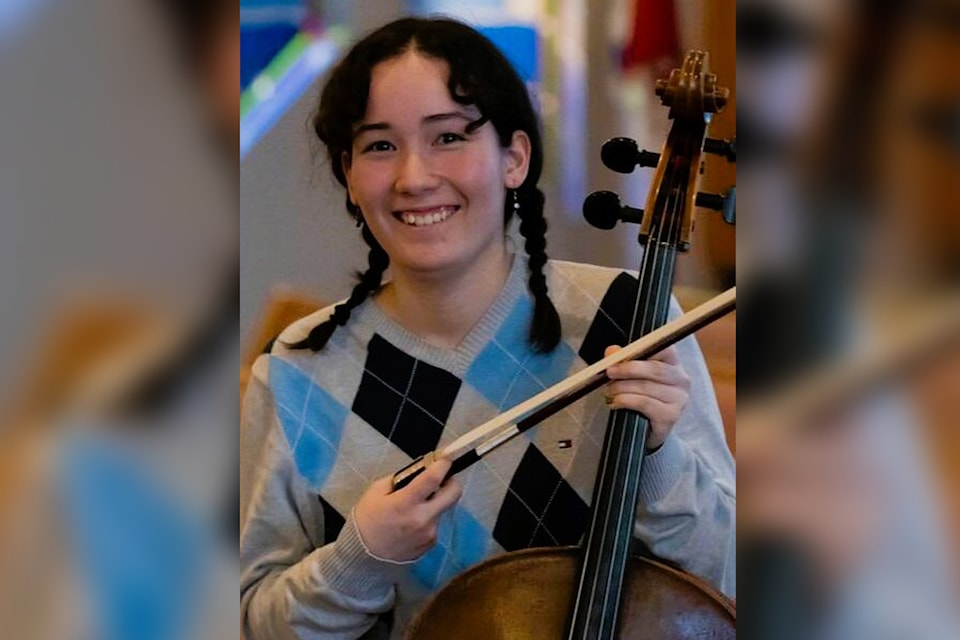 violin