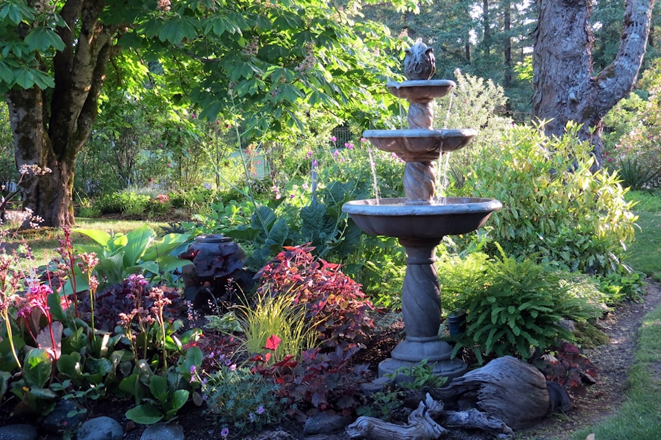 thumbnail_fountain-maidenhair-fern