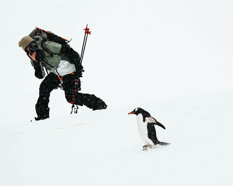 drawn-in_antarctica_jessa-gilbert_matthew-bruhns_2