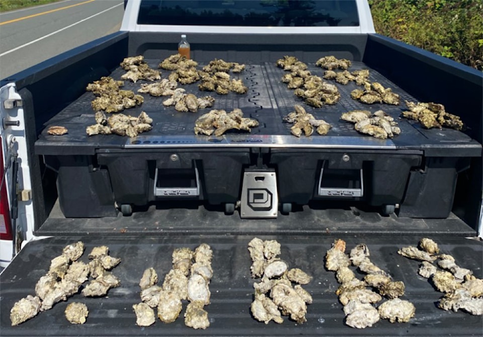 250402-cvr-oysters