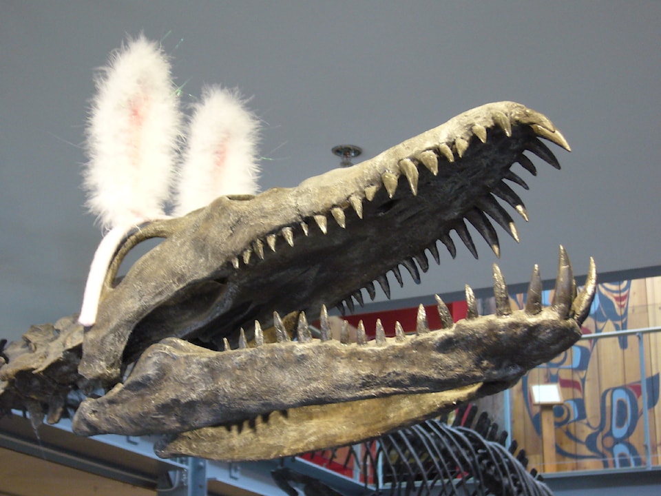 250409-cvr-easter-elasmosaur