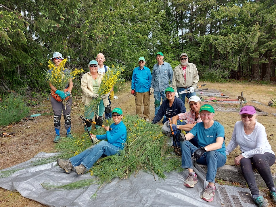 250423-cvr-broombusters