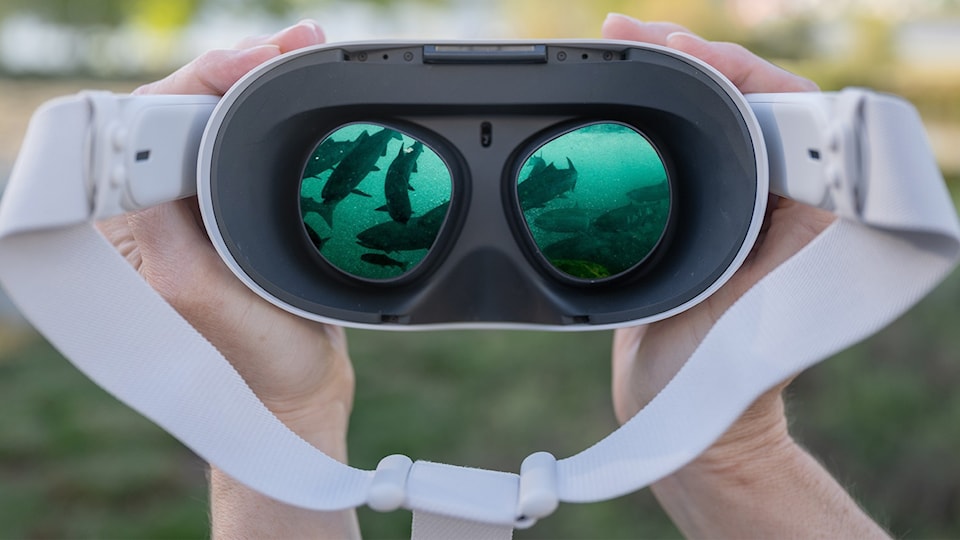 _uninterrupted-vr_imagecourtesyofcanadawildartssociety