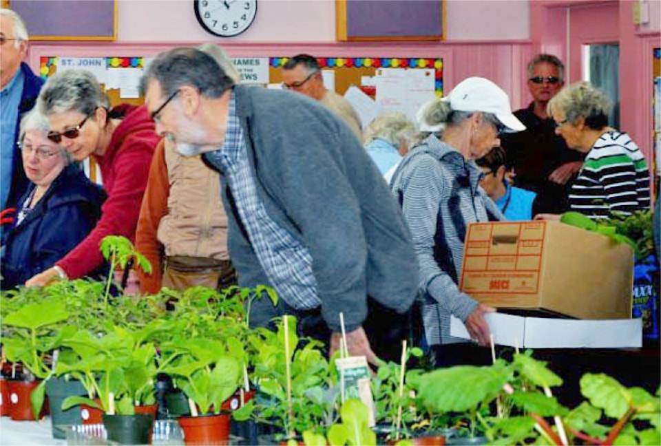 pic-plantsale_2