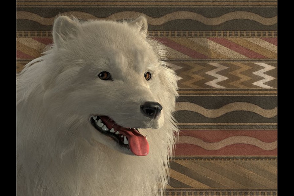 Bred for its wool, the Coast Salish Woolly Dog started to disappear around the 1850s. The only known pelt of a dog, named “Mutton,” was sent to the Smithsonian Institution in 1859 where it was forgotten in a drawer for 150 years.