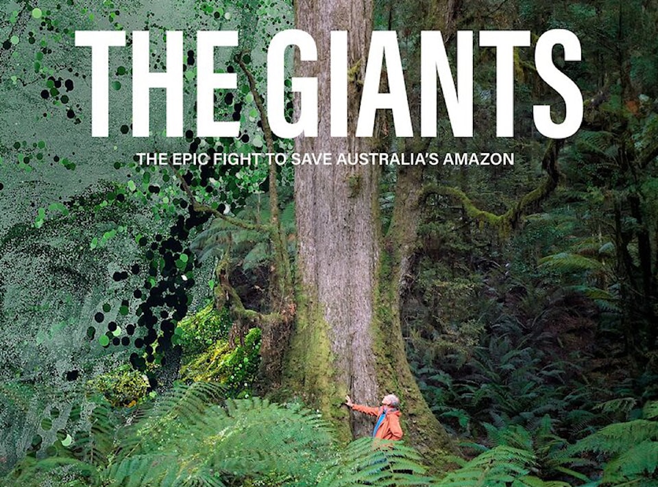 250205-cvr-giants-amazon