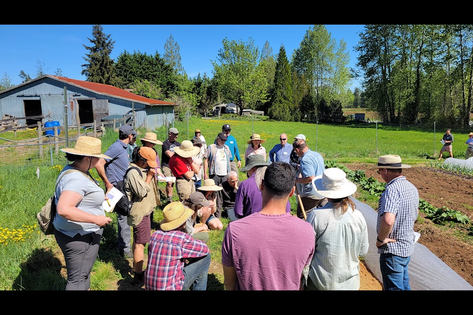 A group of farmers and other interested parties learn about dry farming at Yellow Boot Farm in Black Creek, summer 2024. 