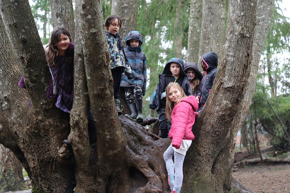 sd71-primary-learning