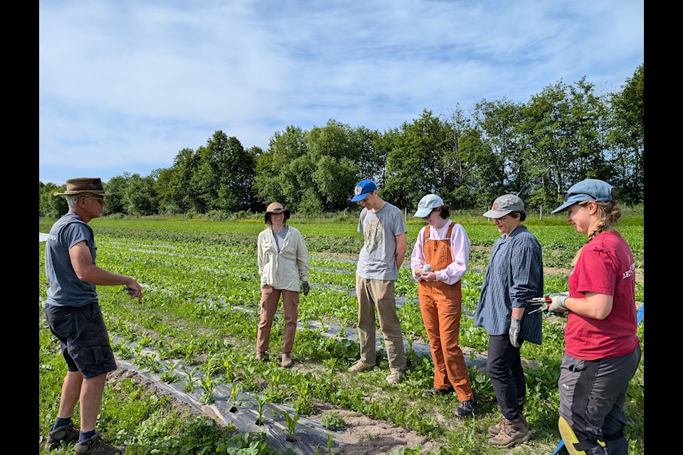 YCCBC staff work with LUSH Valley.