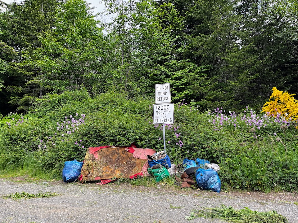 cvr-illegal-dumping