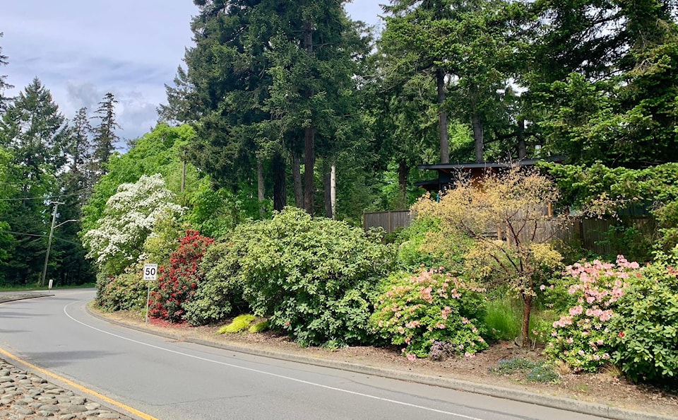 comox-hill-garden
