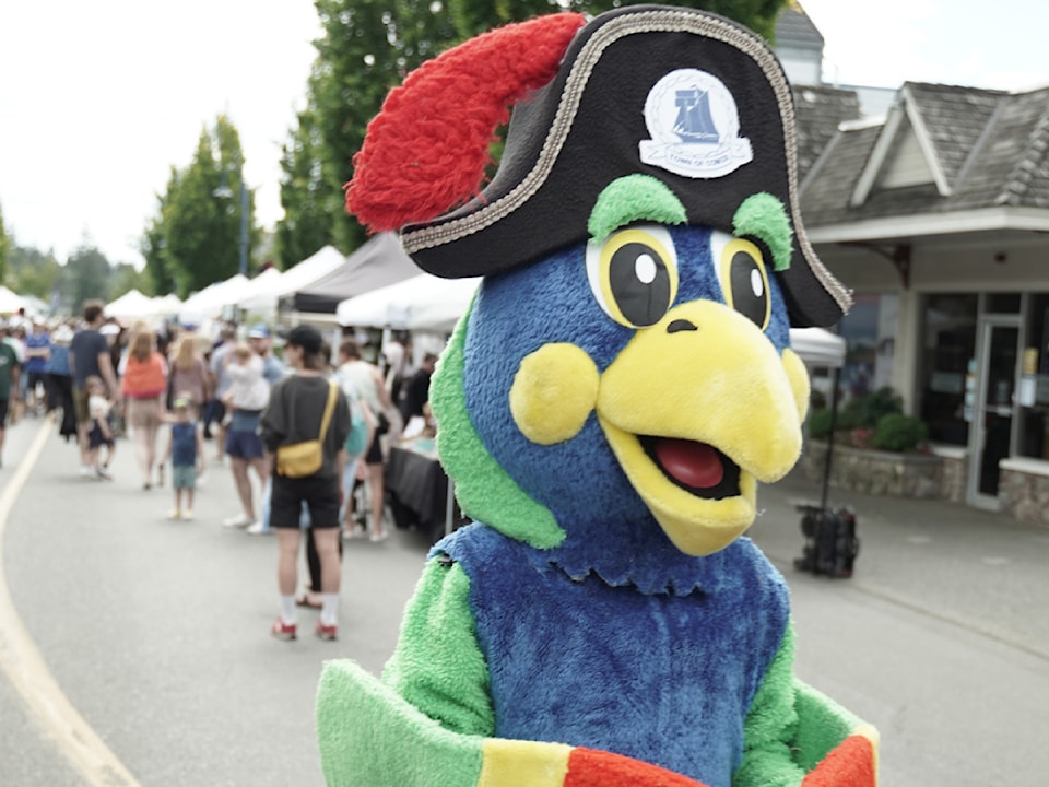 comox-parrot