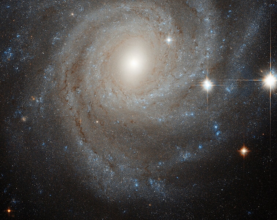 galaxy_in_a_spin