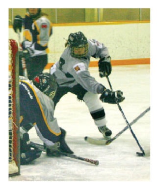 29048NewS.8.20110120123319.Hockey_20110121