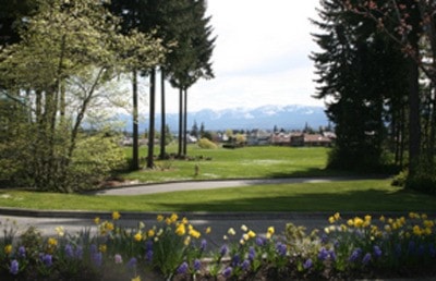 33855comox09crownisle